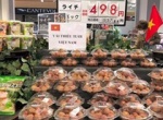 Đại gia bán lẻ Nhật tăng xuất khẩu nông sản Việt
